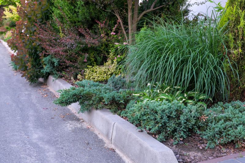 Concrete Border with Landscaping