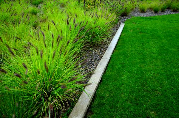 Cement Border Installation