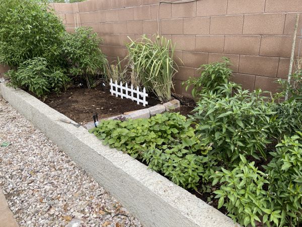Concrete Landscape Edging