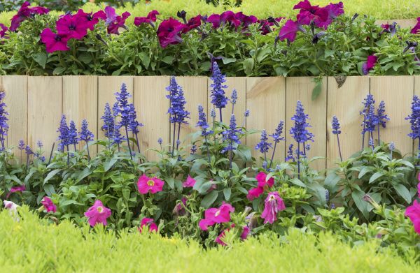 Garden Border Design