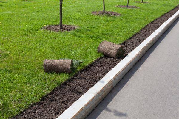 Curb Laying